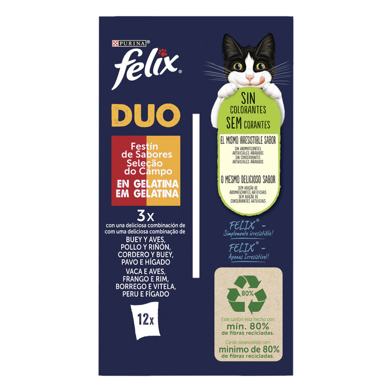 Felix Fantastic Duo Carne em Gelatina saqueta – Multipack 12, , large image number null